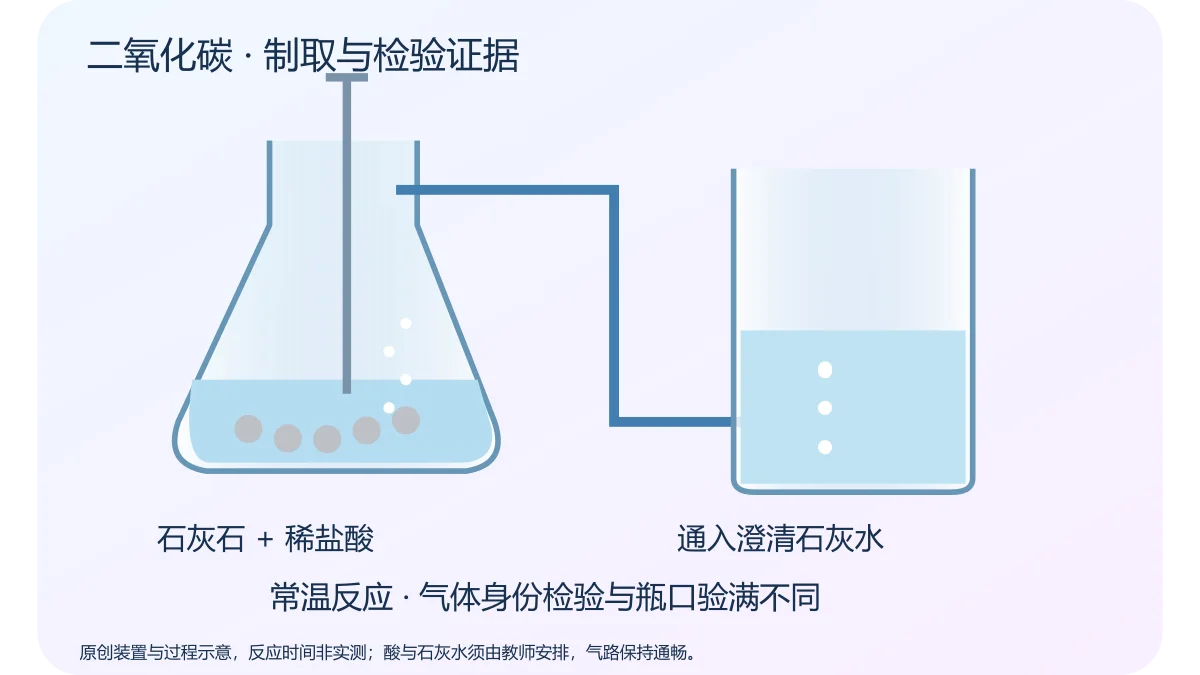 二氧化碳 · 制取与检验证据 · 原创科学示意